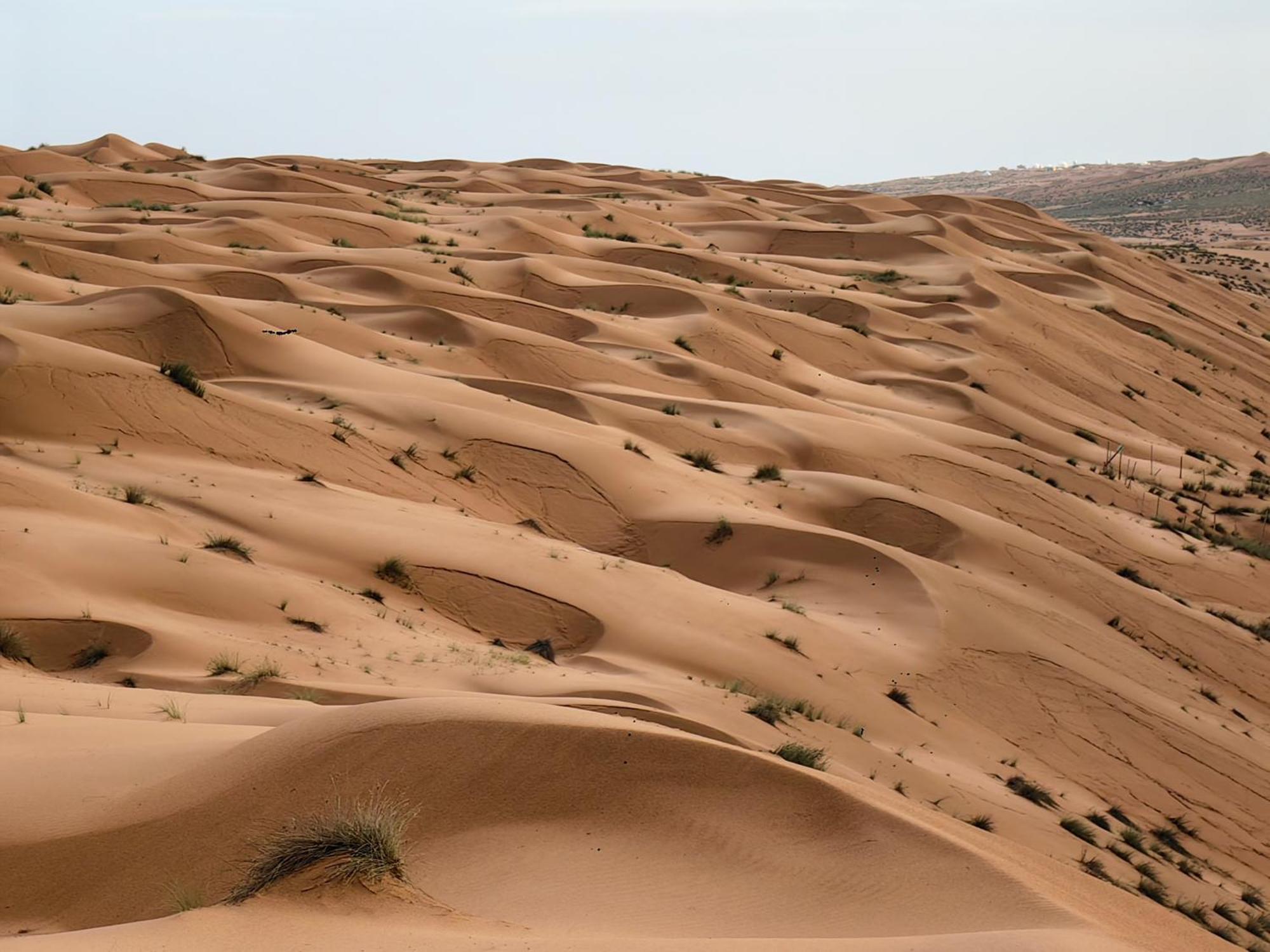 Desert Rose Camp Badīyah Eksteriør billede